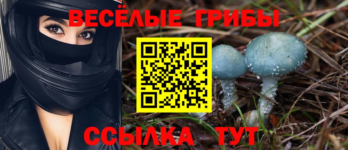 Псилоцибиновые грибы прущие грибы  Вход с VPN  Галлюциногенные грибы ЛСД  Алатырь 